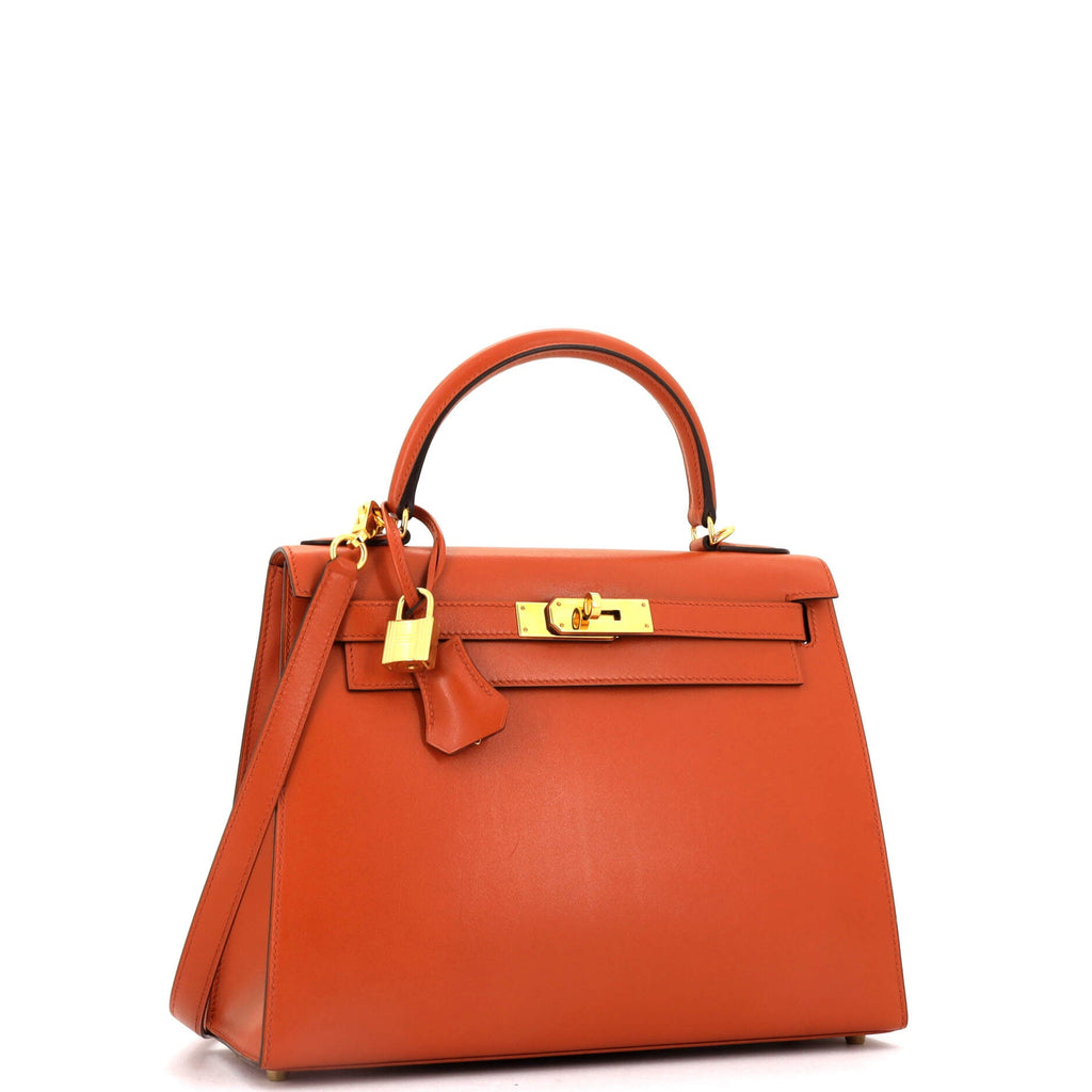Kelly Handbag Terre Battue Tadelakt with Gold Hardware 28