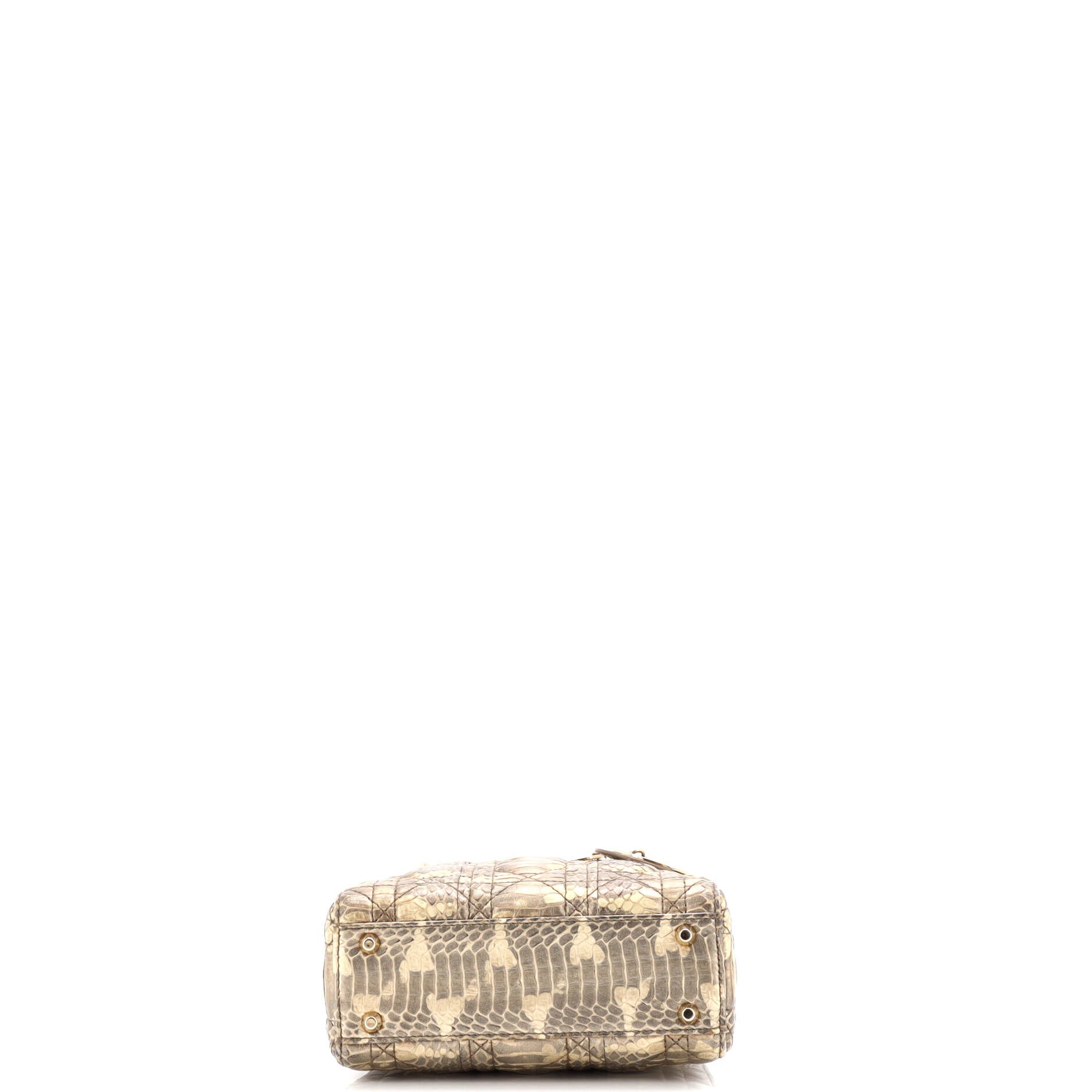 Lady Dior Chain Bag Python Mini