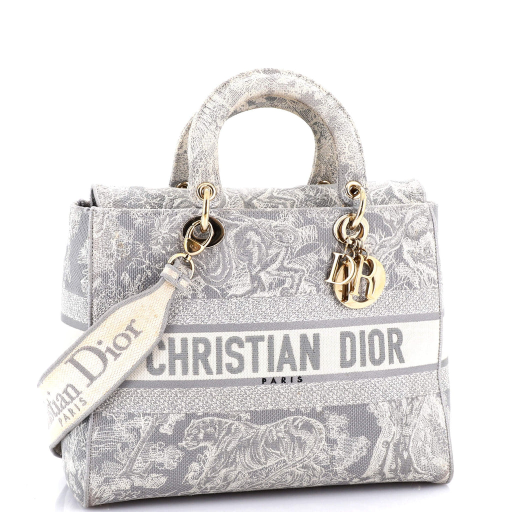 Lady D-Lite Bag Embroidered Canvas Large