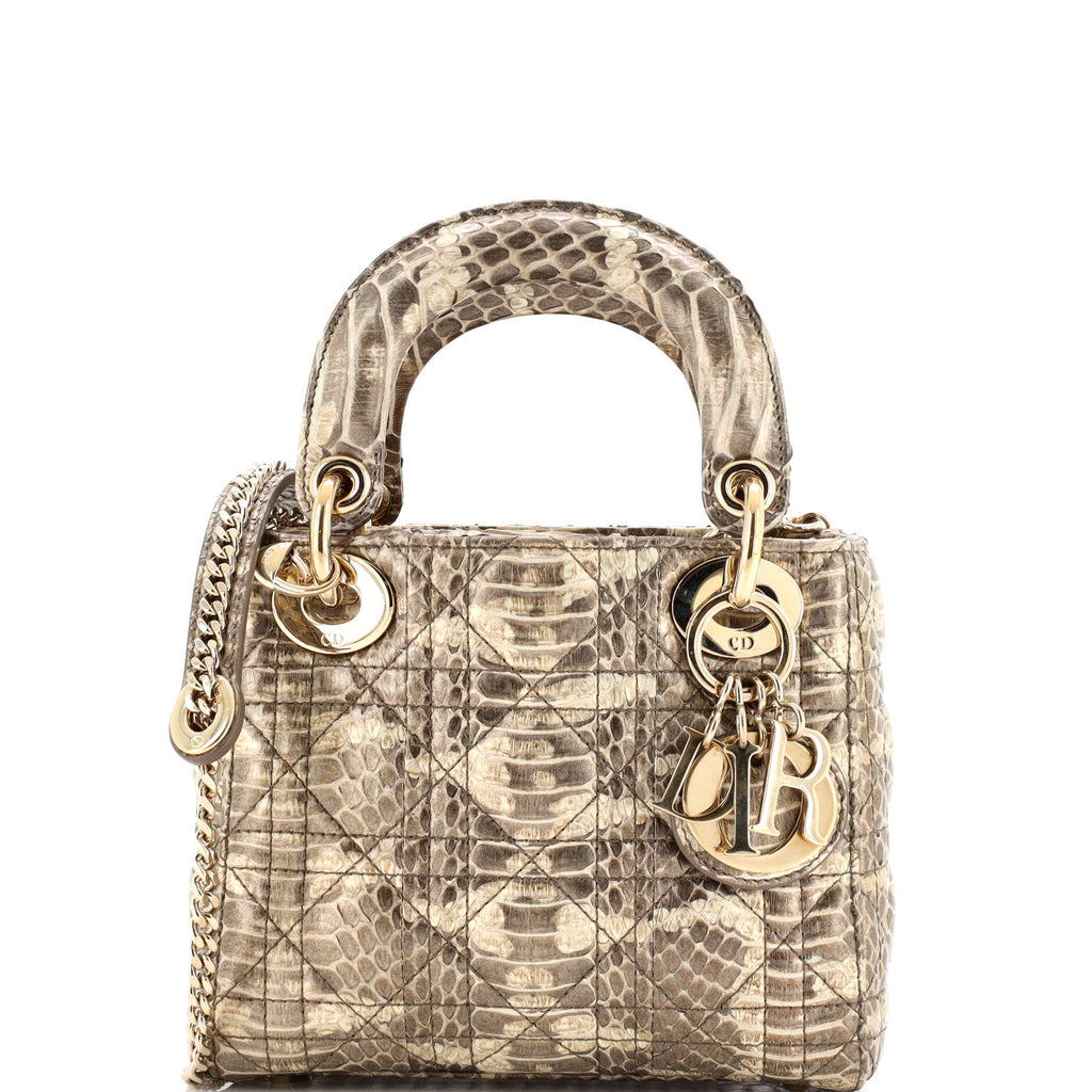 Lady Dior Bag Python Mini