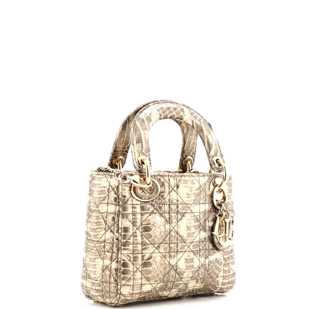 Lady Dior Bag Python Mini