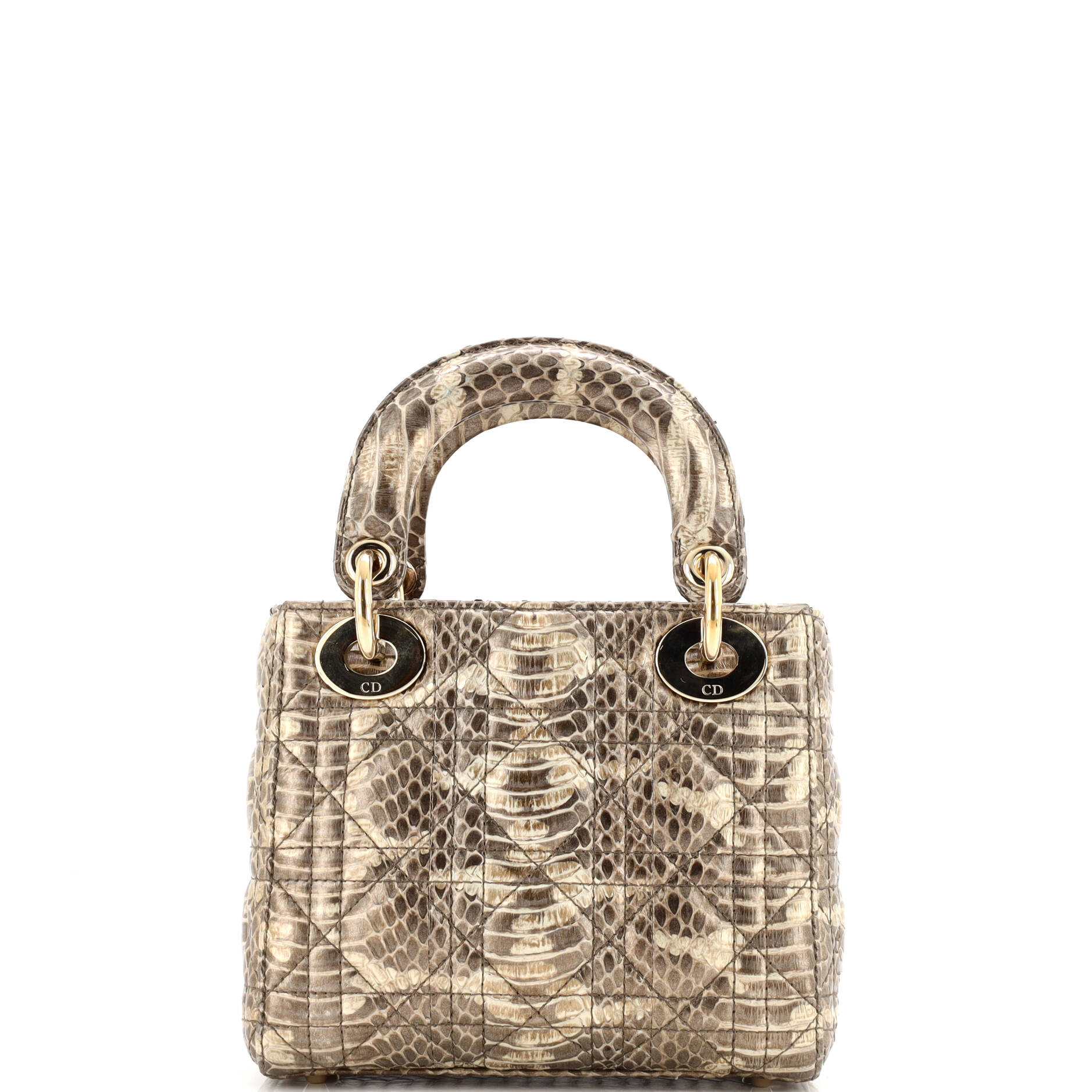 Lady Dior Bag Python Mini