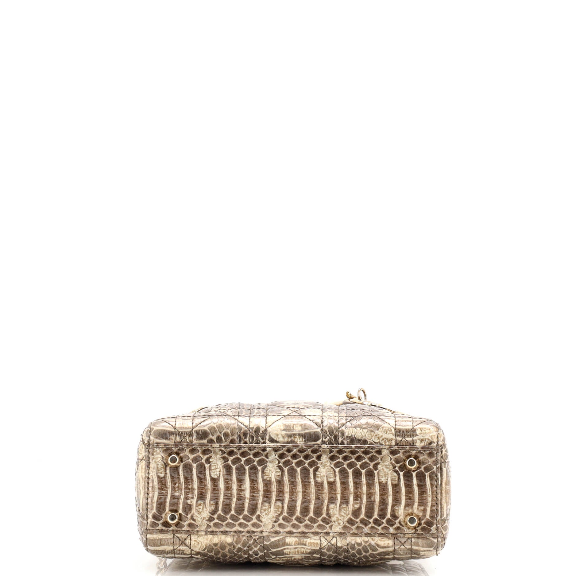Lady Dior Bag Python Mini