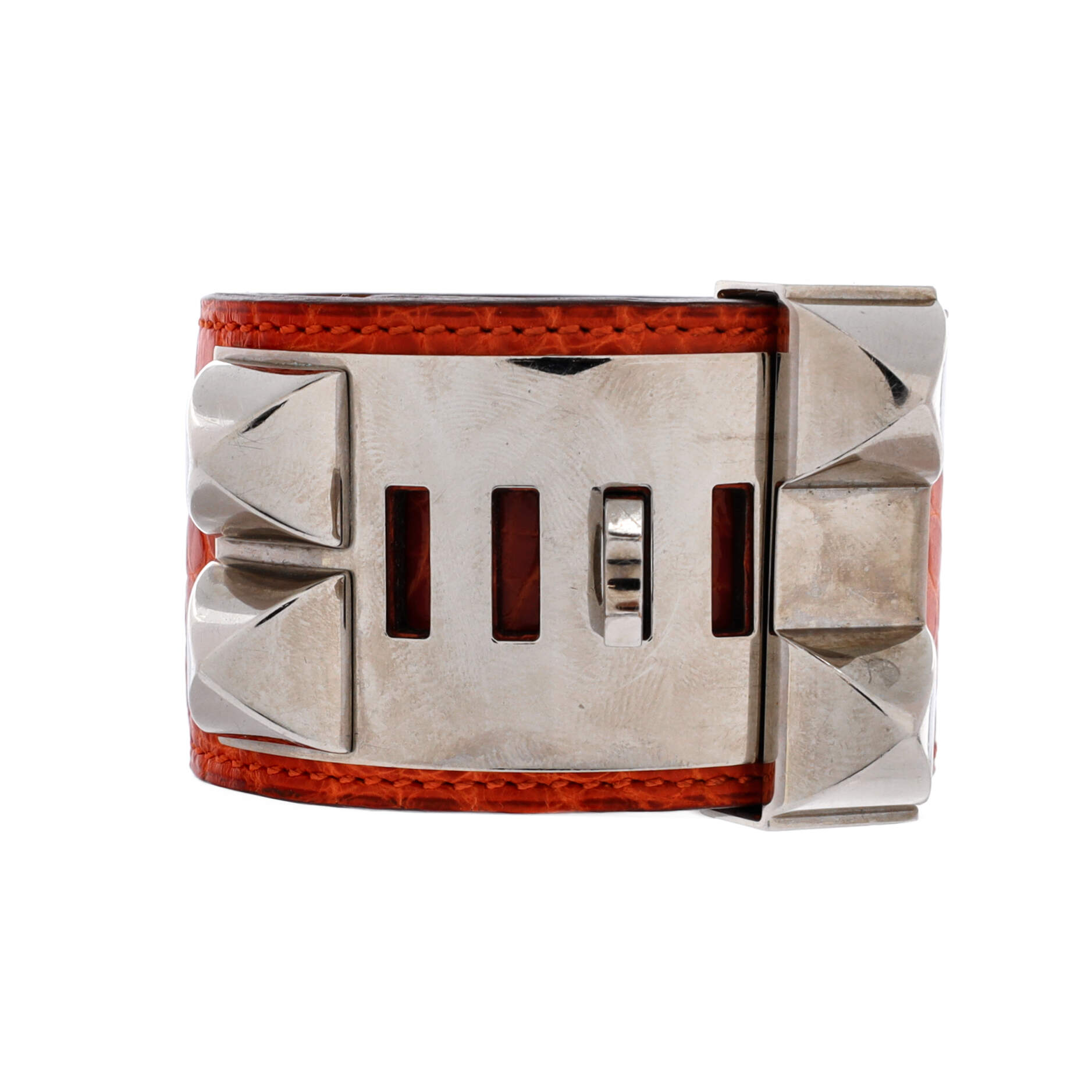 Collier de Chien Bracelet Alligator