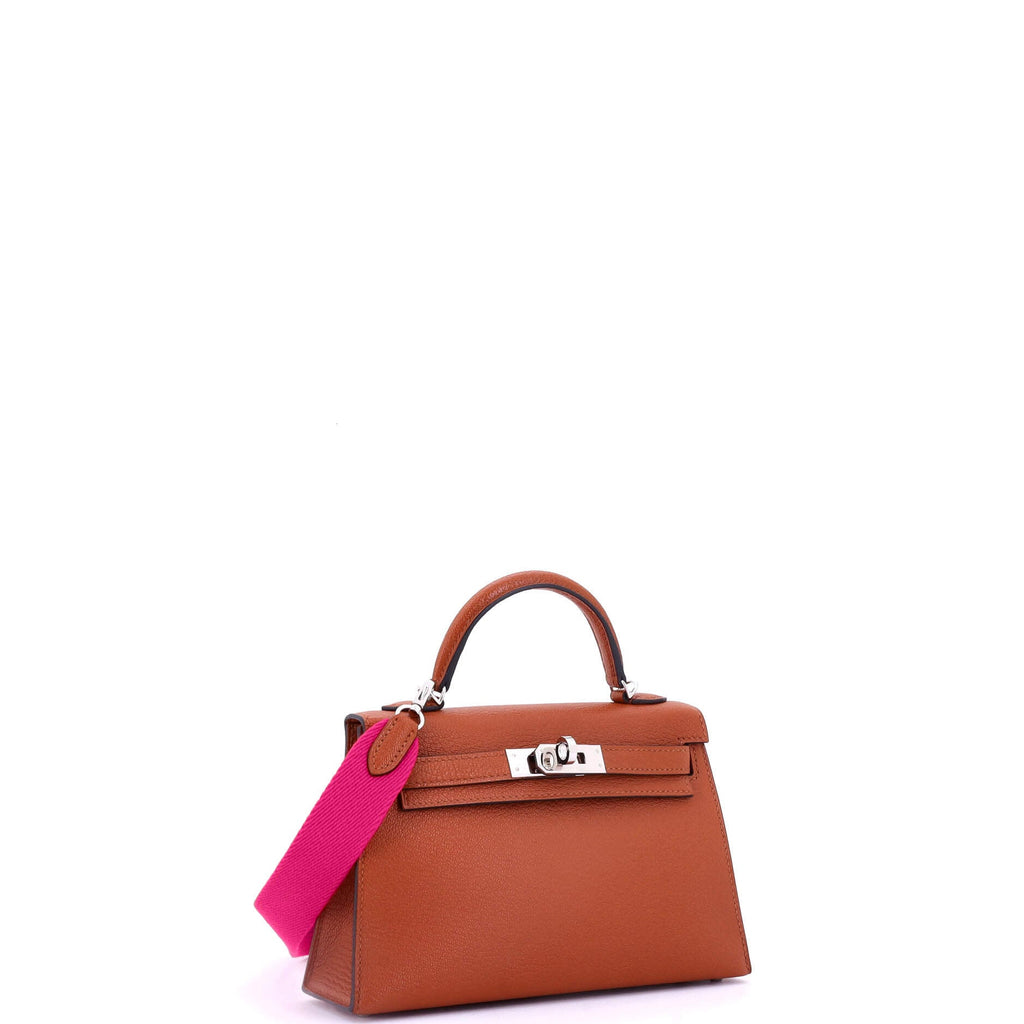 Kelly Mini II Amazone Handbag Brown Chevre Mysore with Palladium Hardware 20