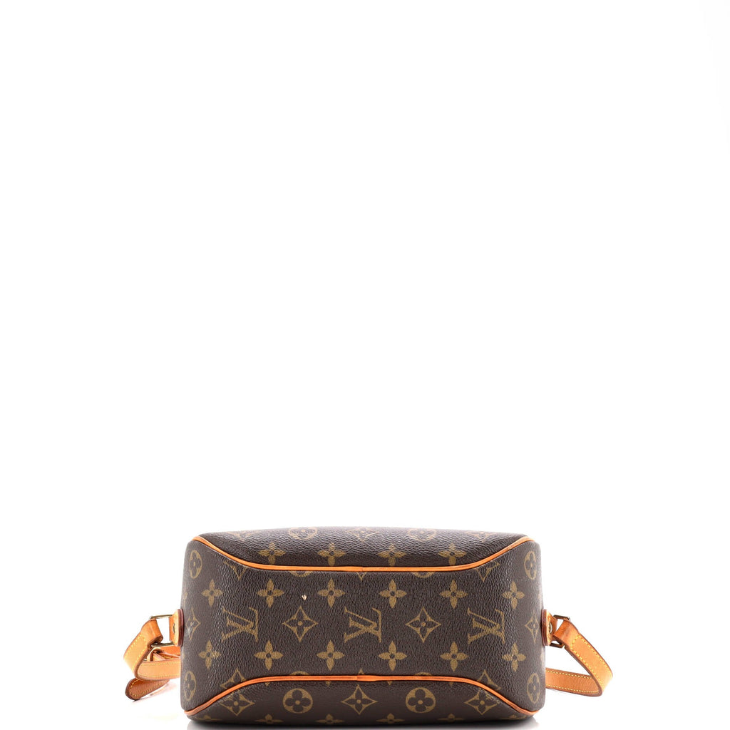 Blois Handbag Monogram Canvas
