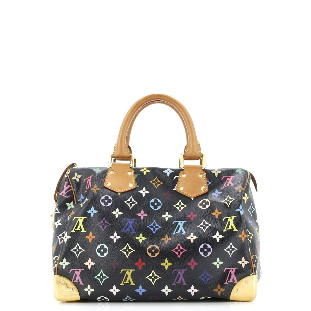 Speedy Handbag Monogram Multicolor 30