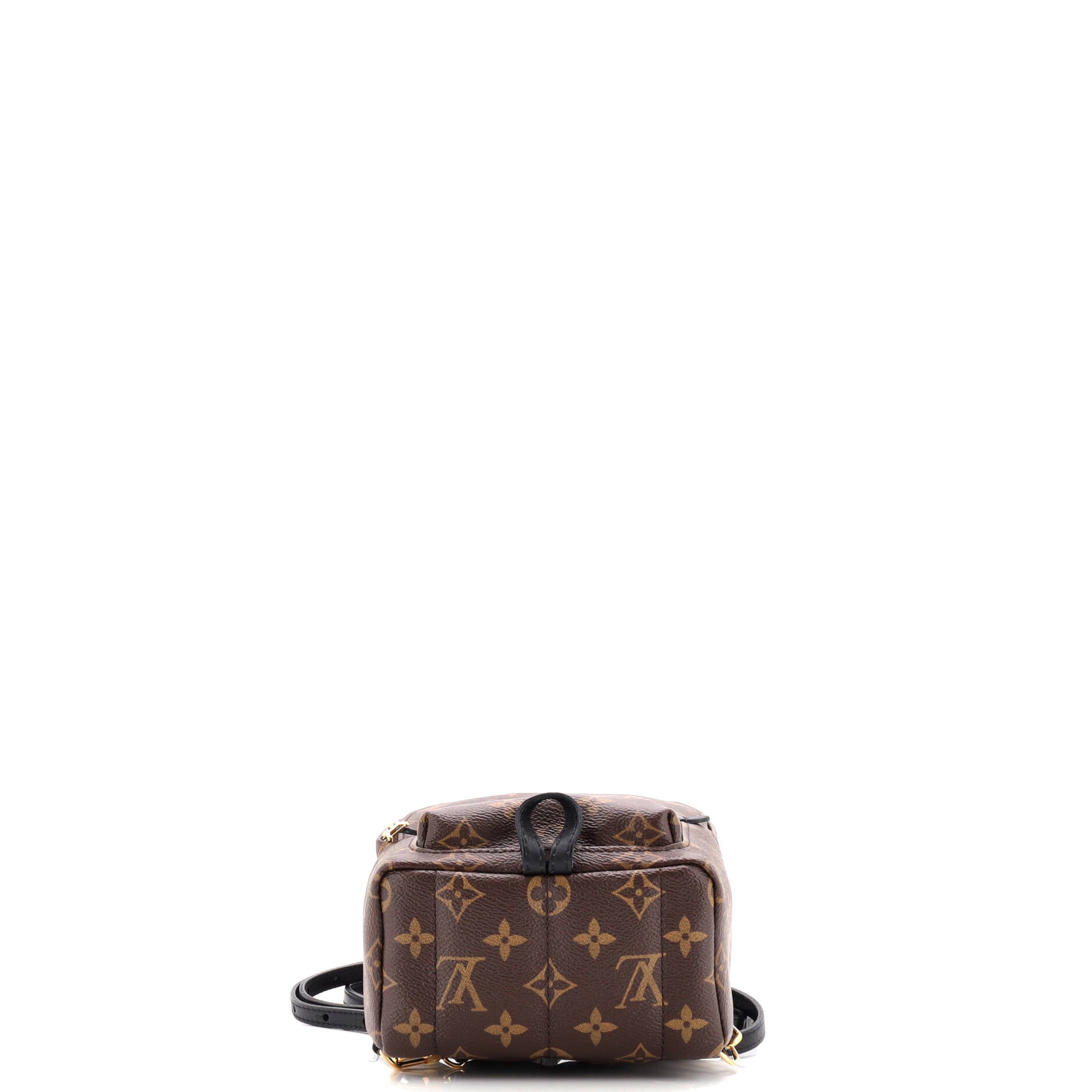Palm Springs Backpack Monogram Canvas Mini