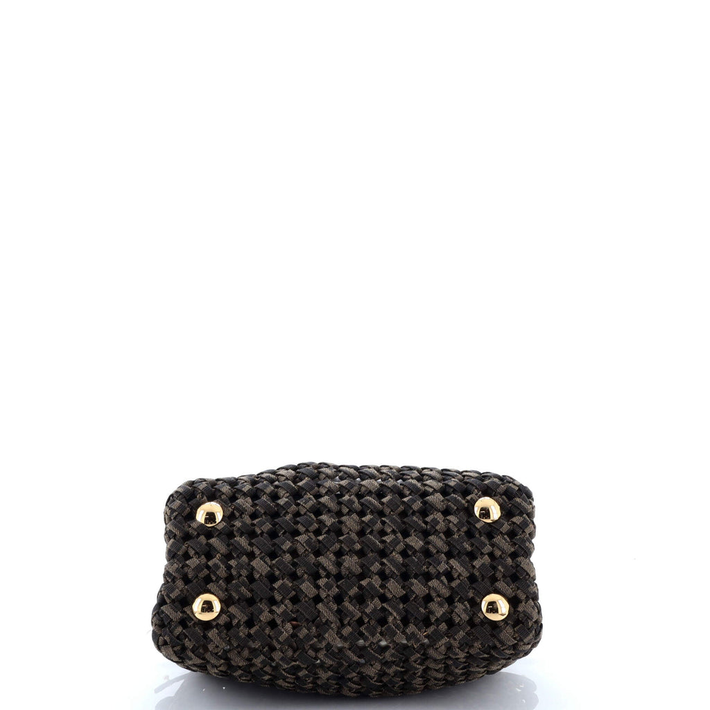 Peekaboo Bag Woven Zucca Canvas Mini