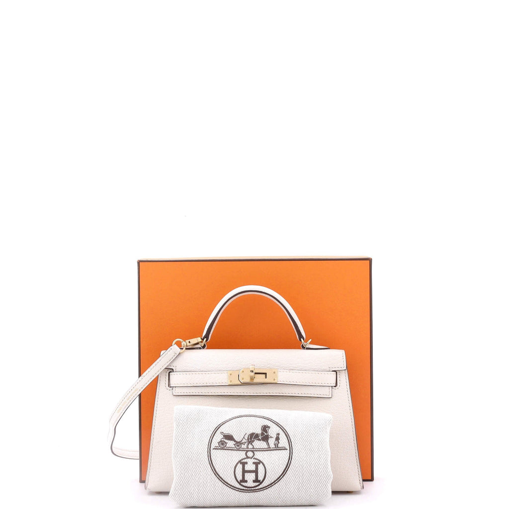 Kelly Mini II Bag Bicolor Chevre Mysore with Permabrass Hardware 20