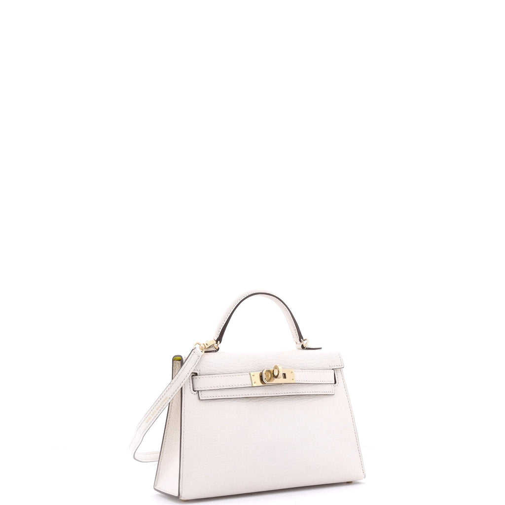 Kelly Mini II Bag Bicolor Chevre Mysore with Permabrass Hardware 20