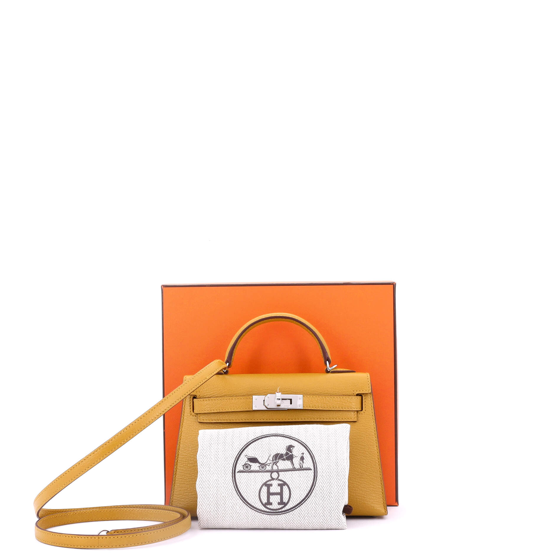 Kelly Mini II Bag Verso Chevre Mysore with Palladium Hardware 20