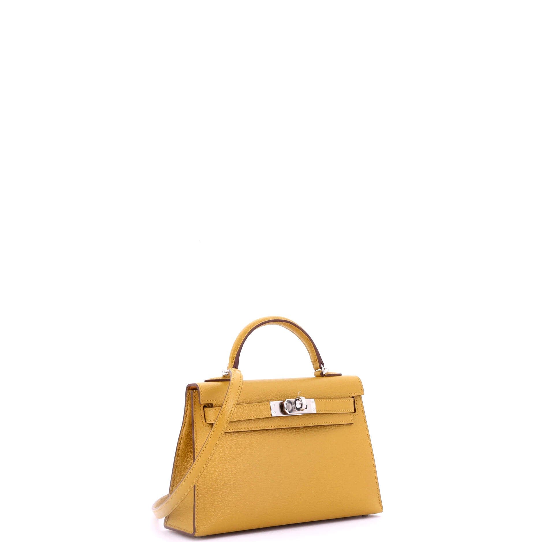 Kelly Mini II Bag Verso Chevre Mysore with Palladium Hardware 20