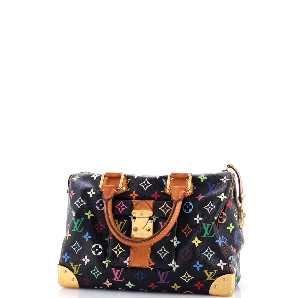 Speedy Handbag Monogram Multicolor 30