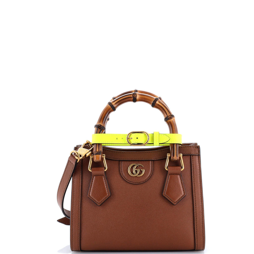 Diana NM Bamboo Handle Tote Leather Mini