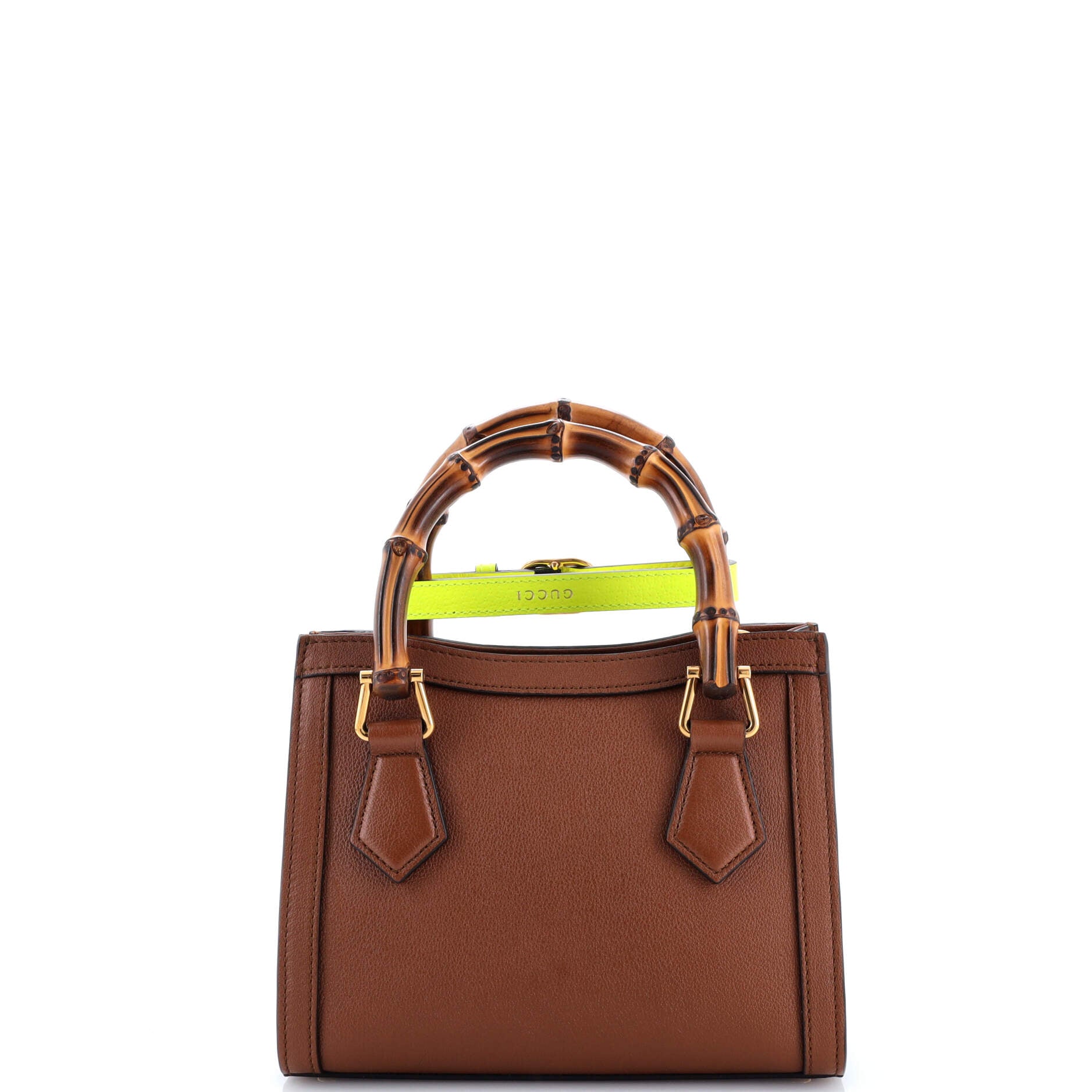 Diana NM Bamboo Handle Tote Leather Mini