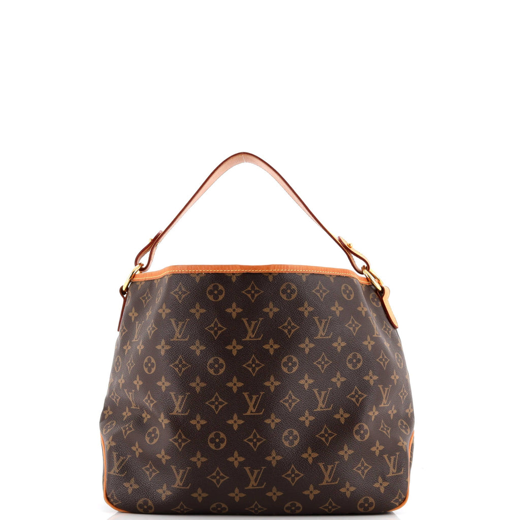 Delightful Handbag Monogram Canvas PM