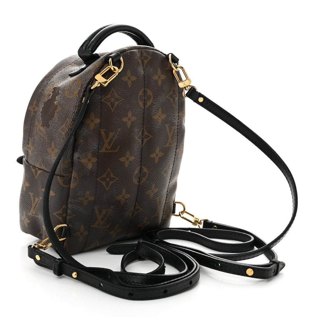Monogram Palm Springs Backpack Mini