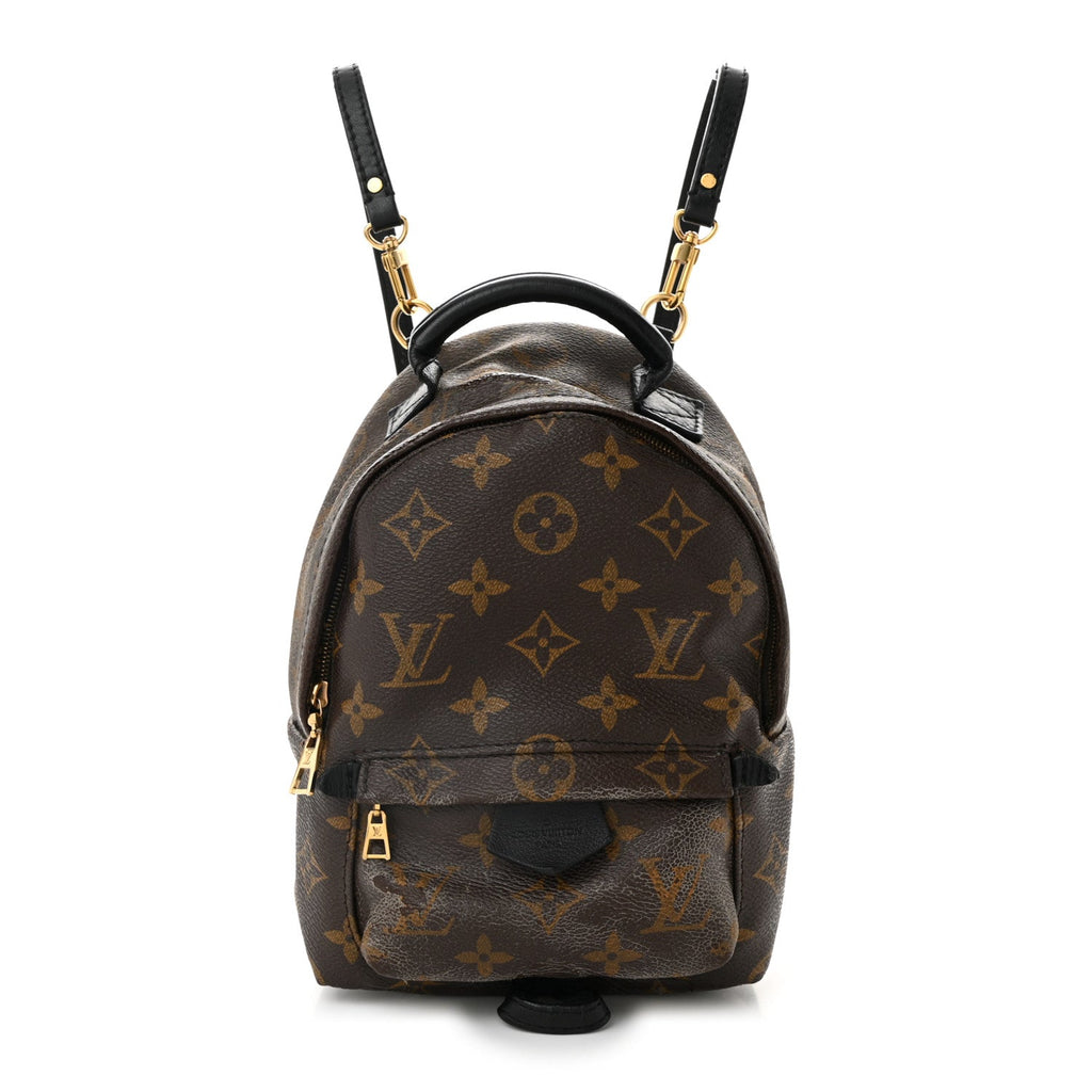 Monogram Palm Springs Backpack Mini