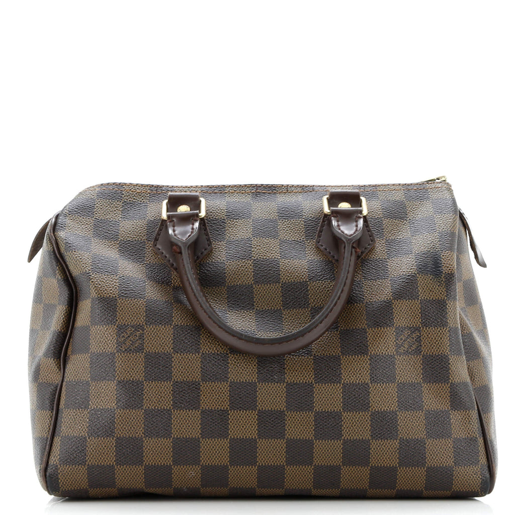 Speedy Handbag Damier 25