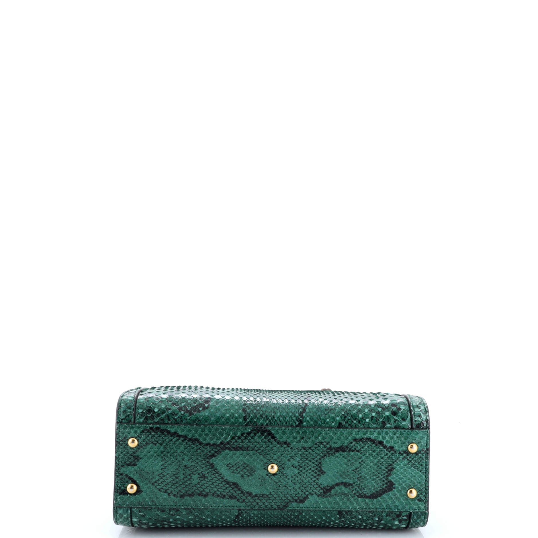 Diana NM Bamboo Handle Tote Python Small