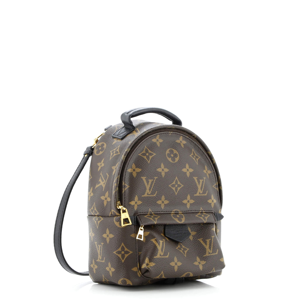 Palm Springs Backpack Monogram Canvas Mini