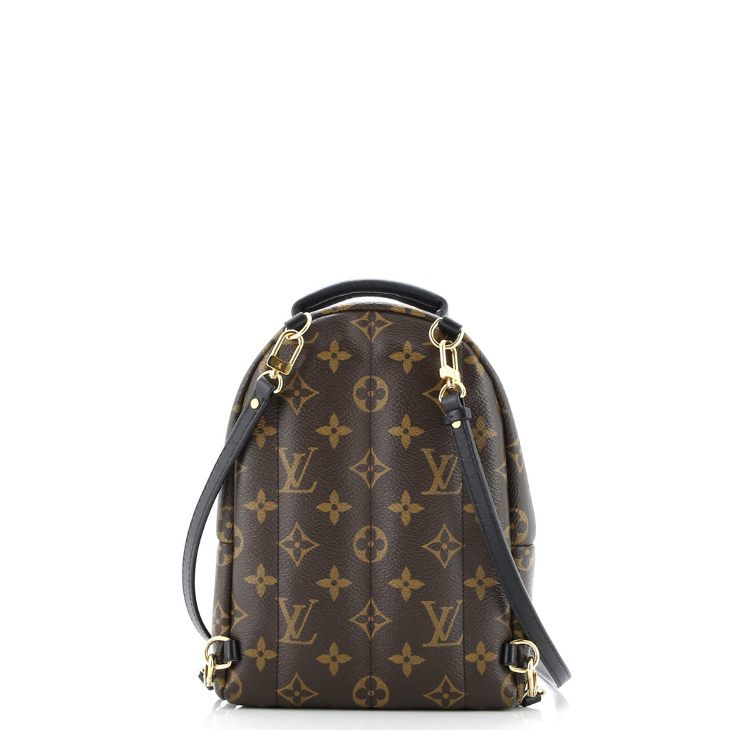 Palm Springs Backpack Monogram Canvas Mini