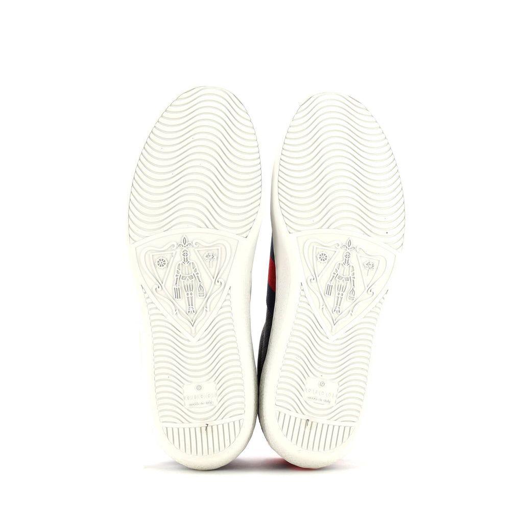 Ace Sneakers GG Coated Canvas
