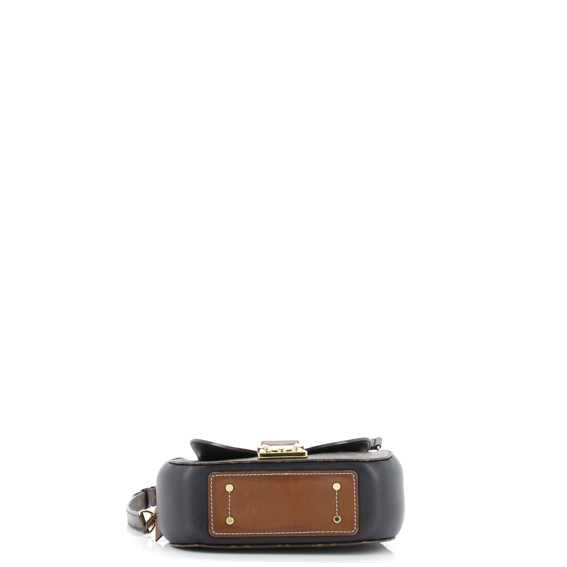 Eden Handbag Monogram Canvas PM