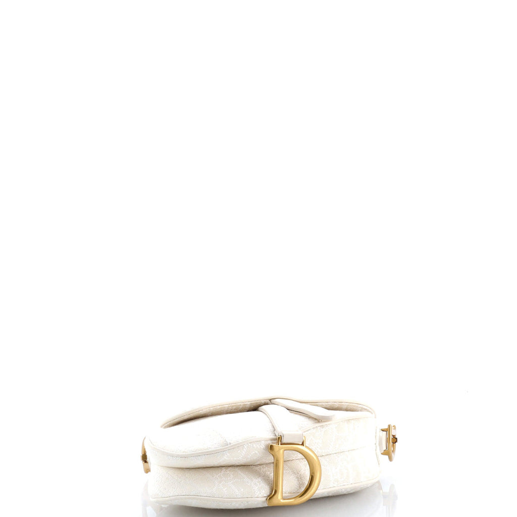 Saddle Handbag Oblique Canvas Mini