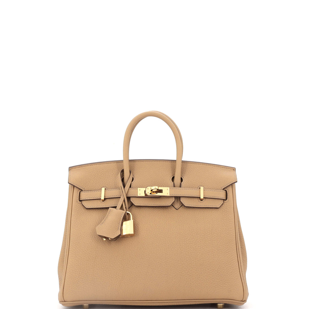 Birkin Handbag Chai Togo with Gold Hardware 25