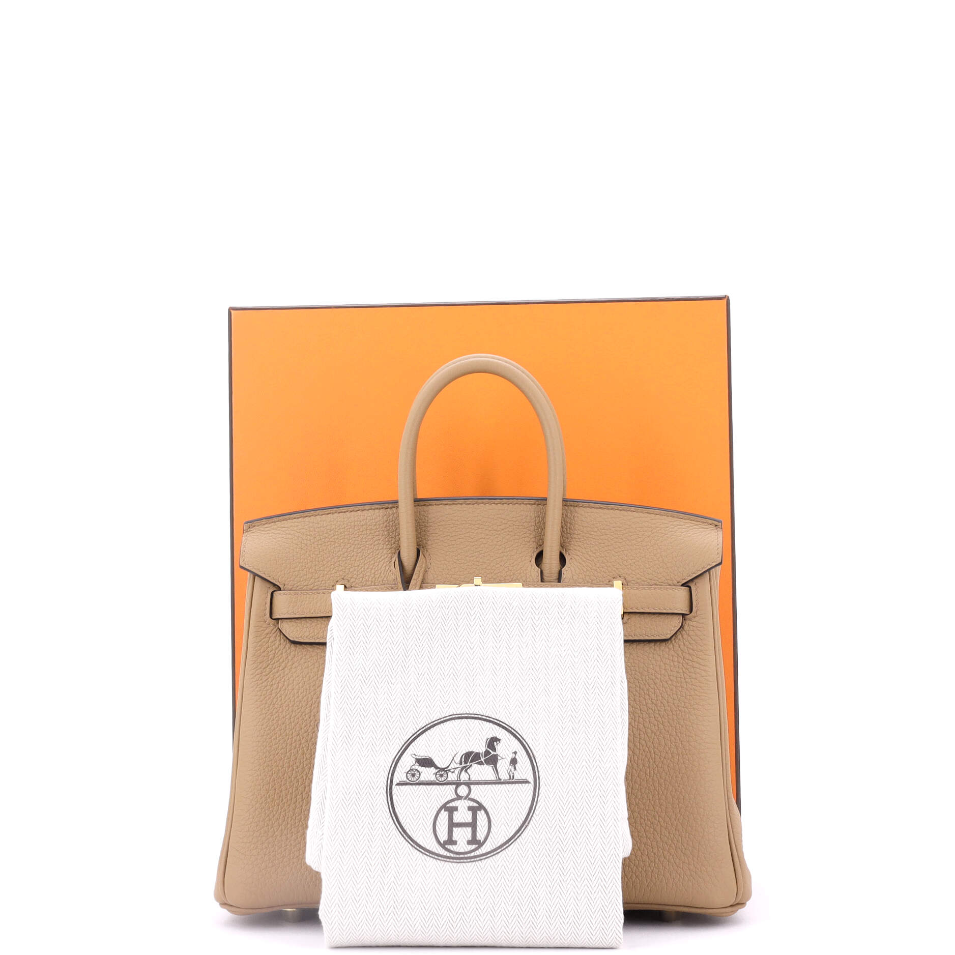 Birkin Handbag Chai Togo with Gold Hardware 25