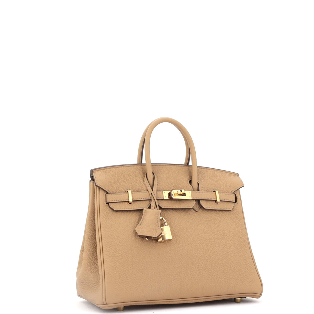 Birkin Handbag Chai Togo with Gold Hardware 25