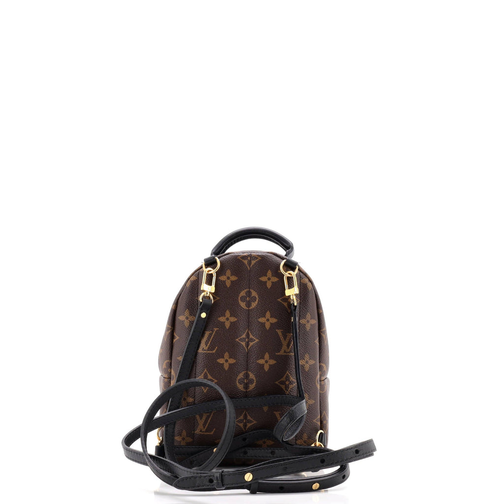 Palm Springs Backpack Monogram Canvas Mini
