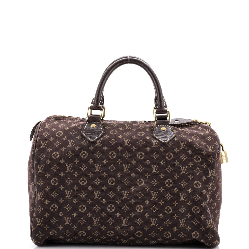 Speedy Handbag Mini Lin 30
