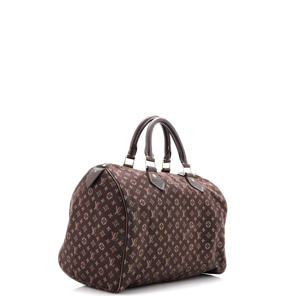 Speedy Handbag Mini Lin 30