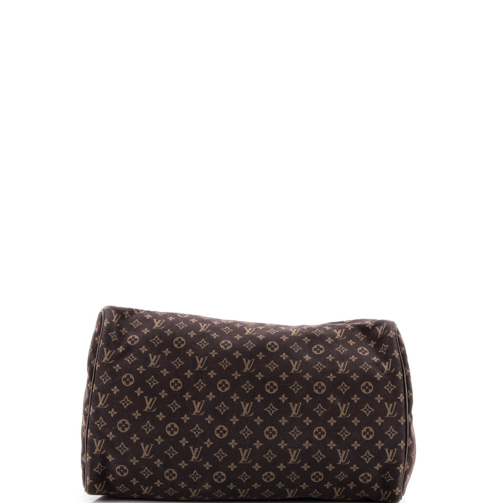 Speedy Handbag Mini Lin 30
