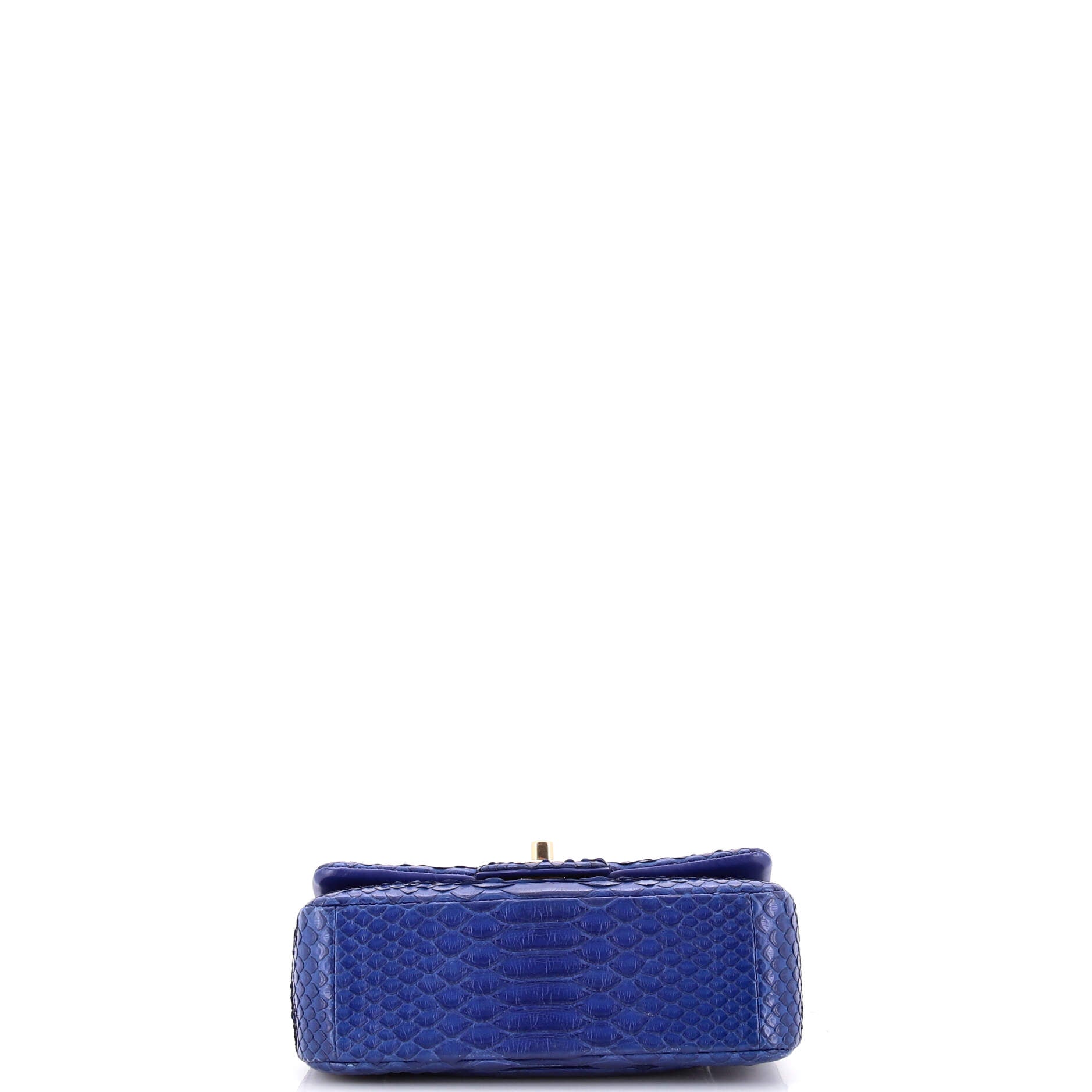 Classic Single Flap Bag Python Mini