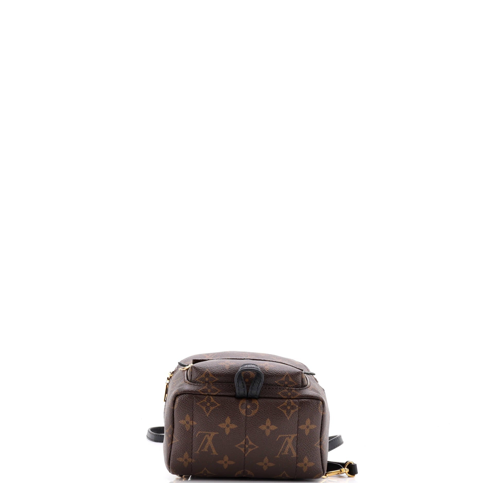 Palm Springs Backpack Monogram Canvas Mini