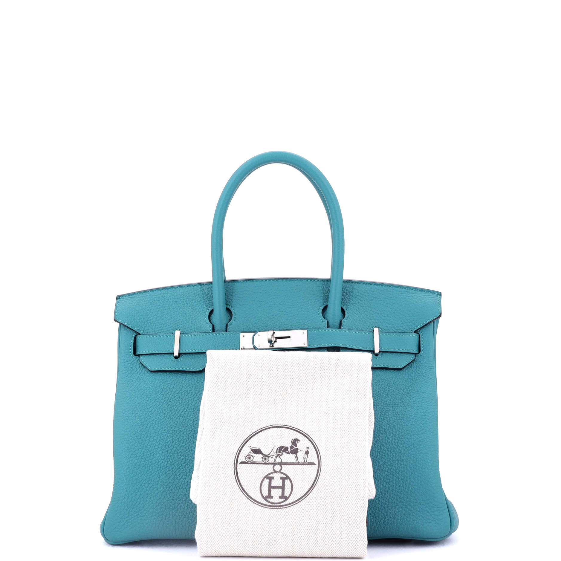 Birkin Handbag Turquoise Togo with Palladium Hardware 30