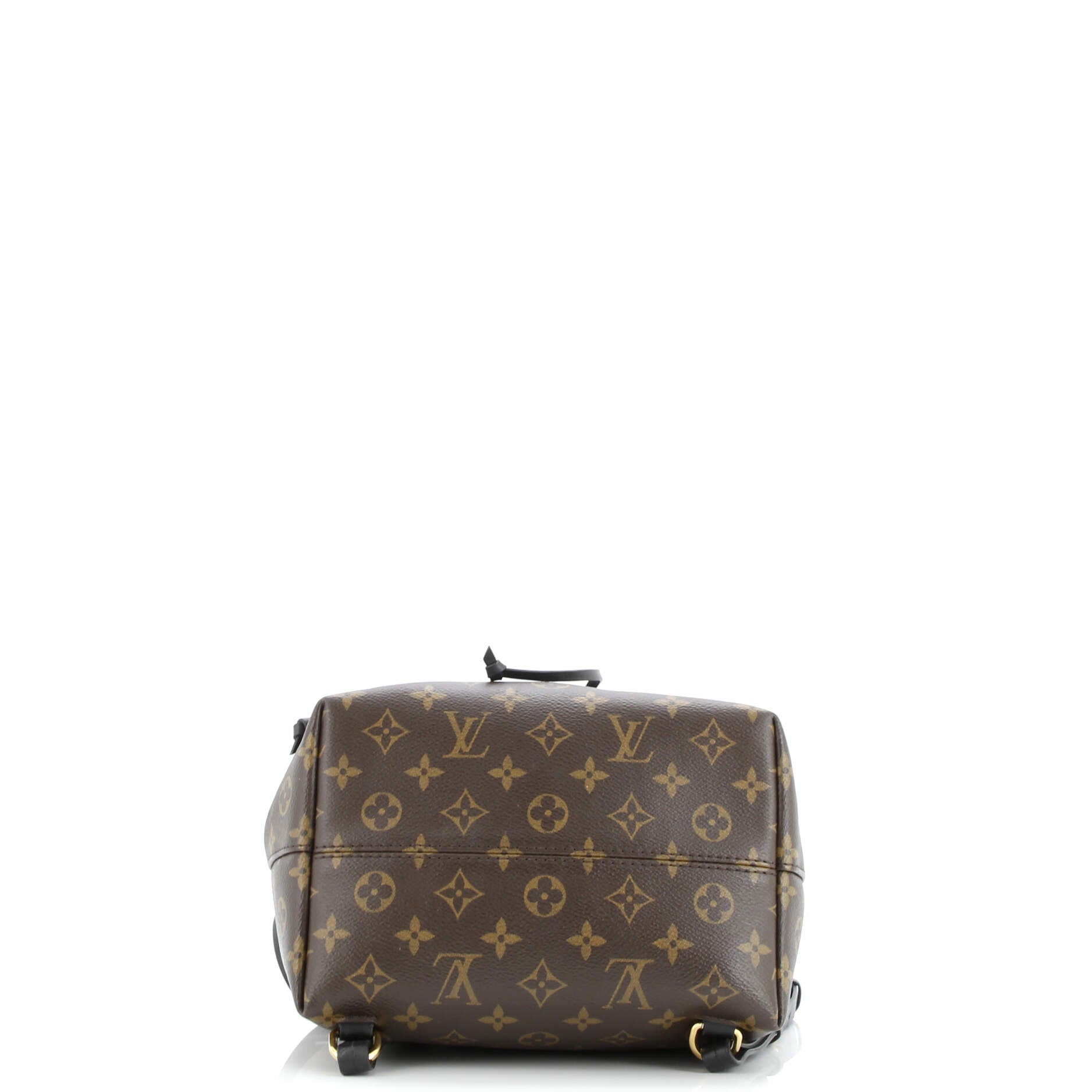 Montsouris NM Backpack Monogram Canvas with Leather PM
