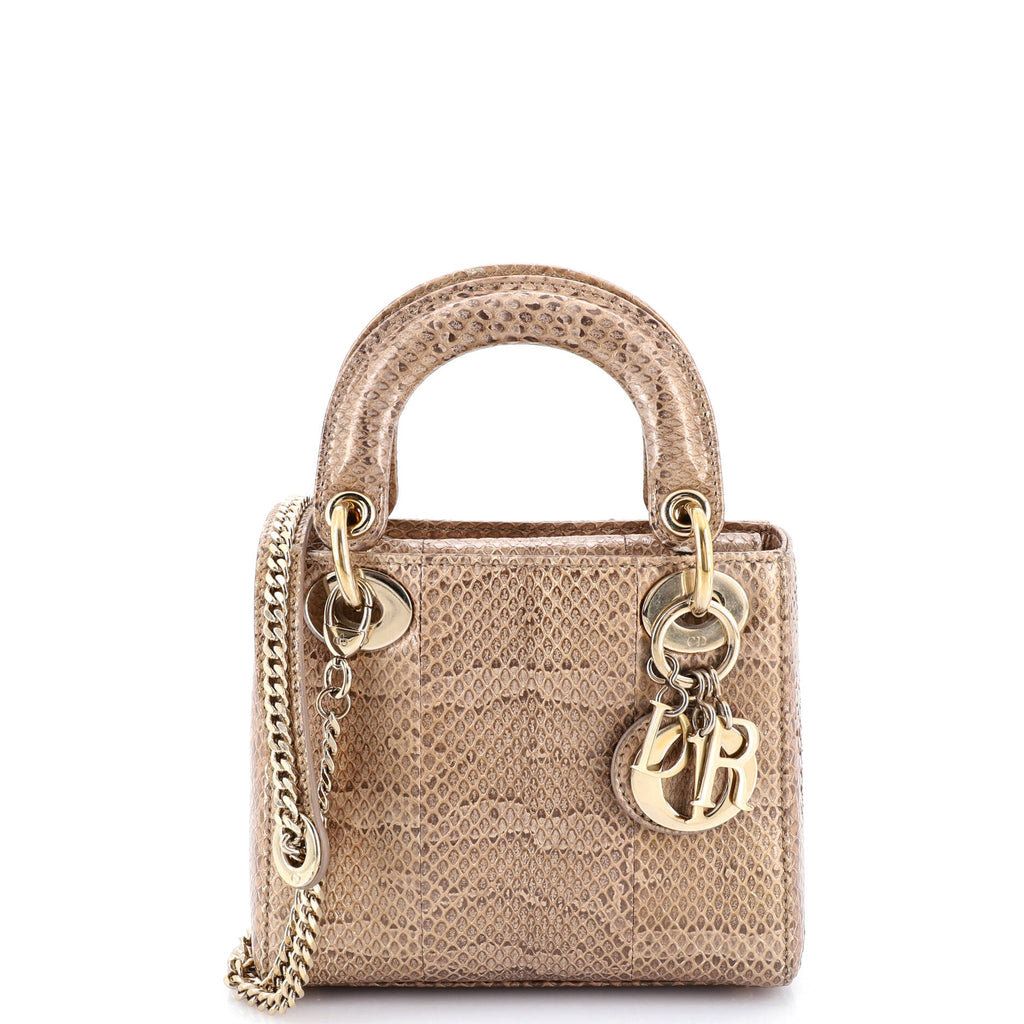 Lady Dior Chain Bag Python Mini