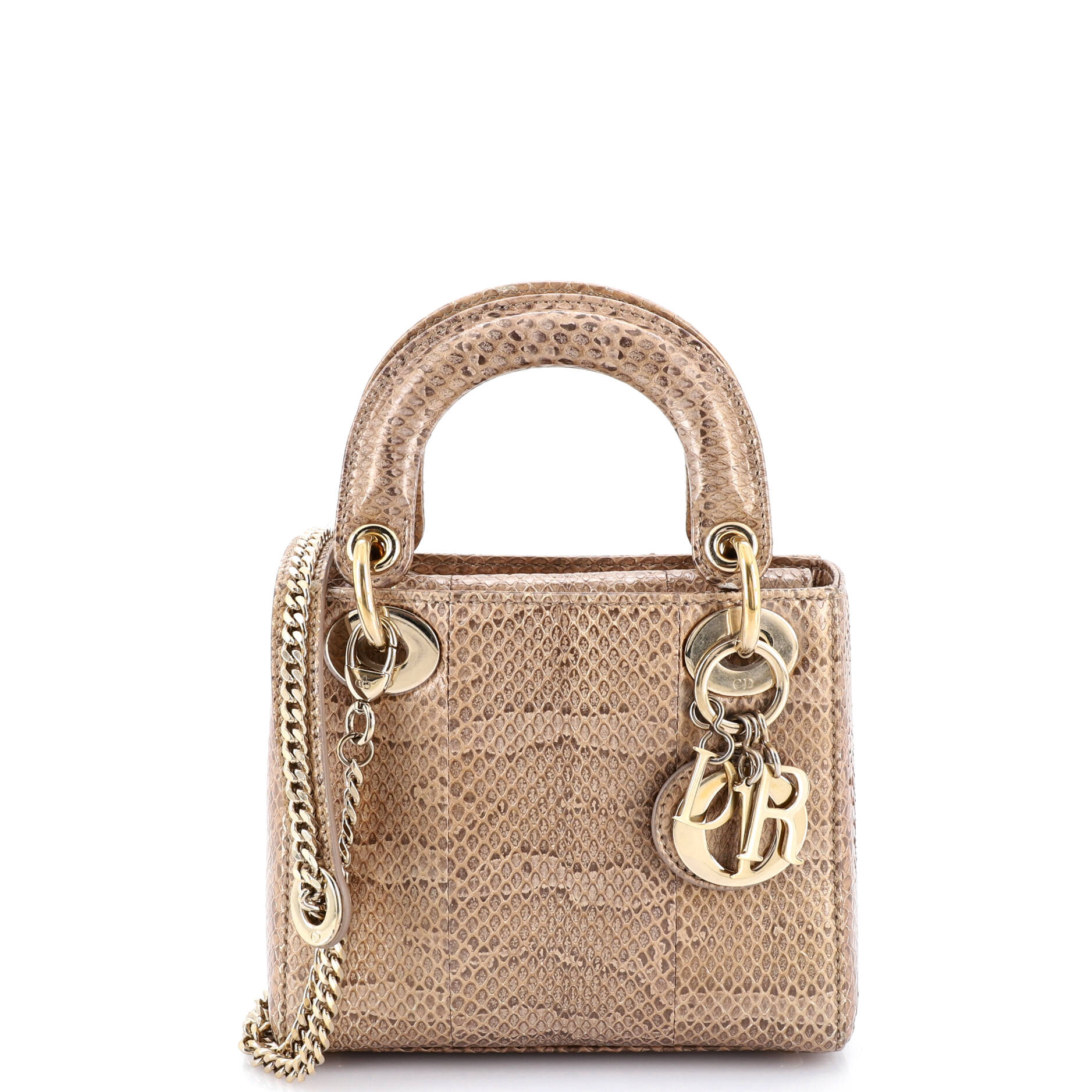 Lady Dior Chain Bag Python Mini