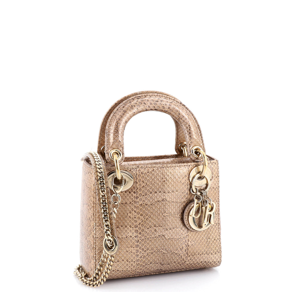 Lady Dior Chain Bag Python Mini