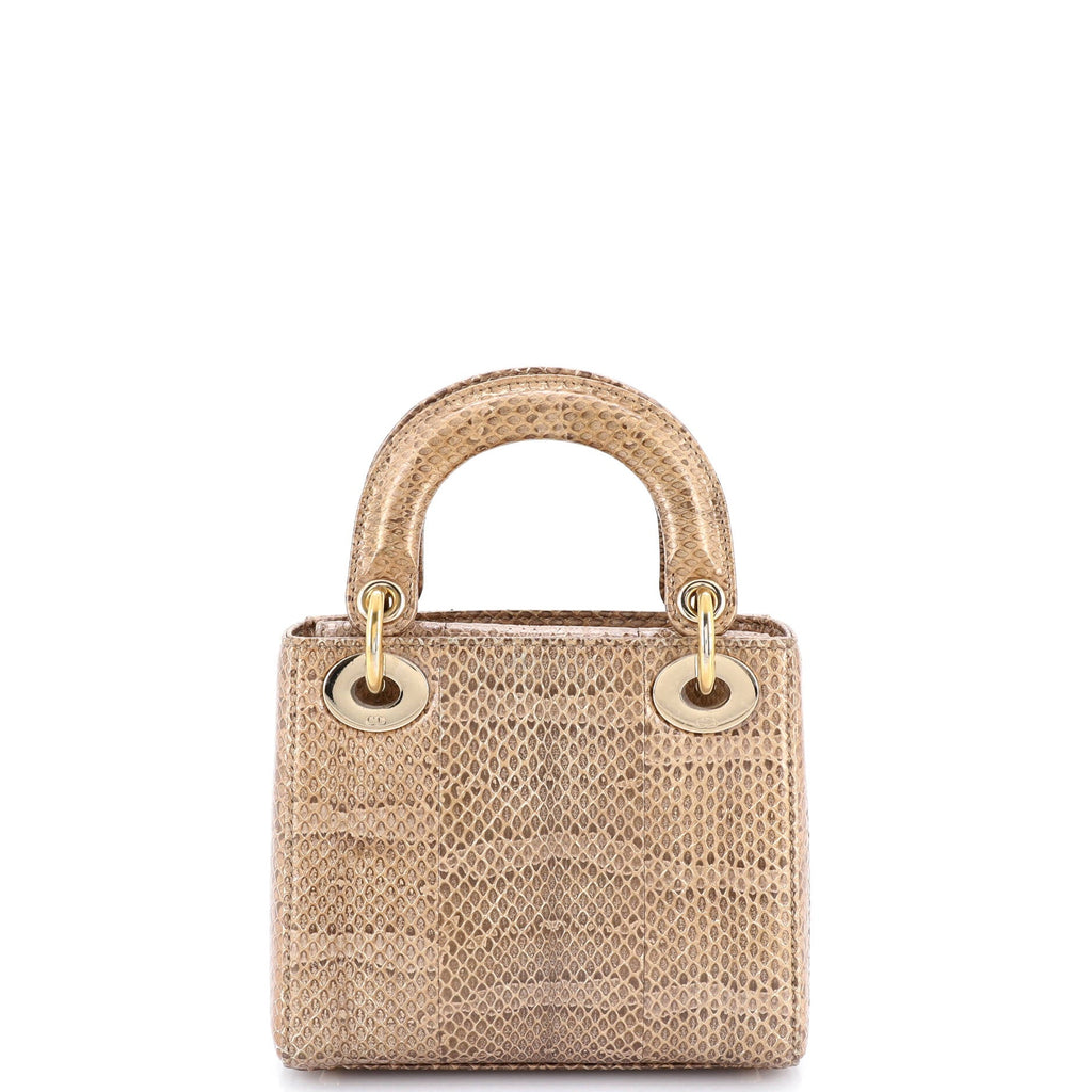 Lady Dior Chain Bag Python Mini
