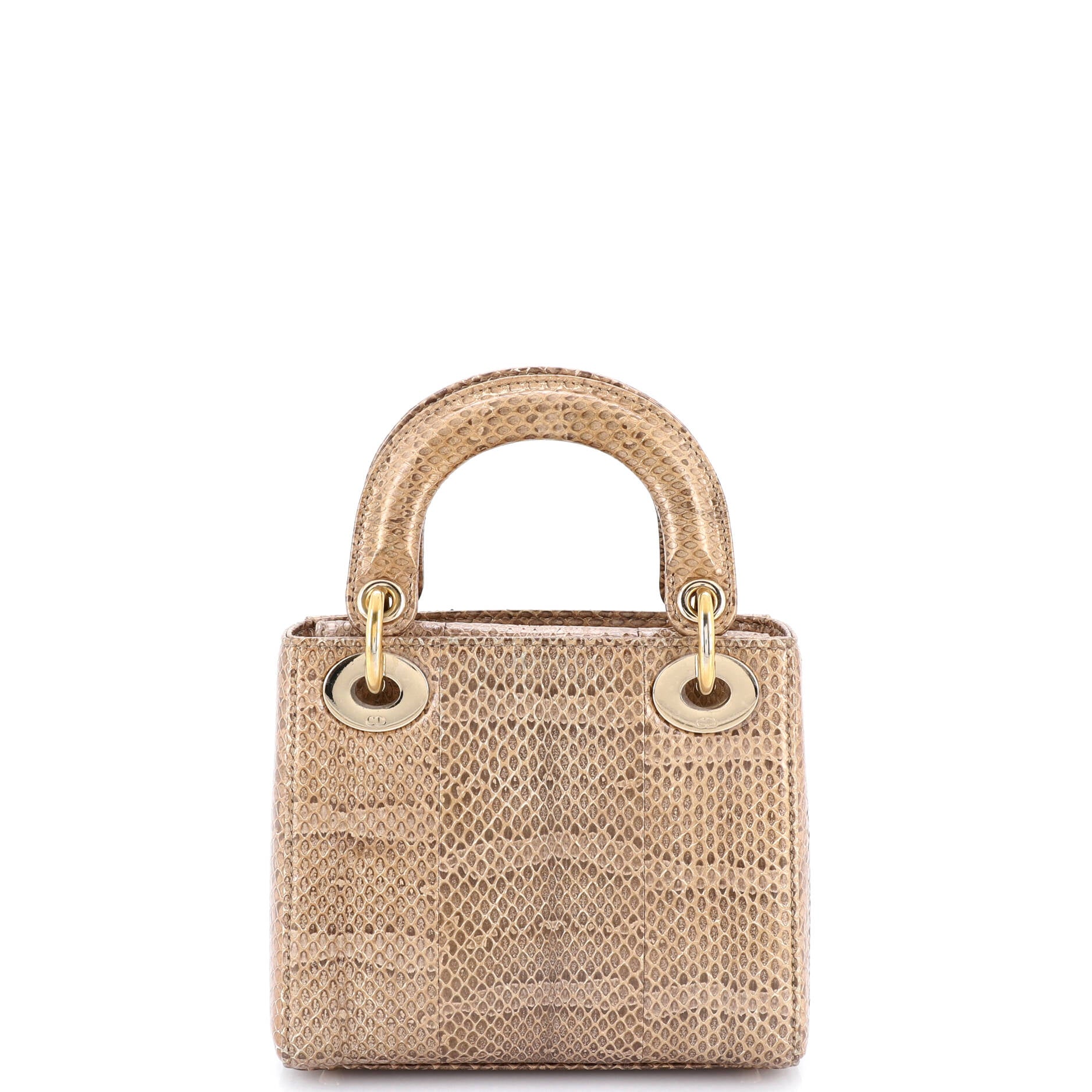 Lady Dior Chain Bag Python Mini