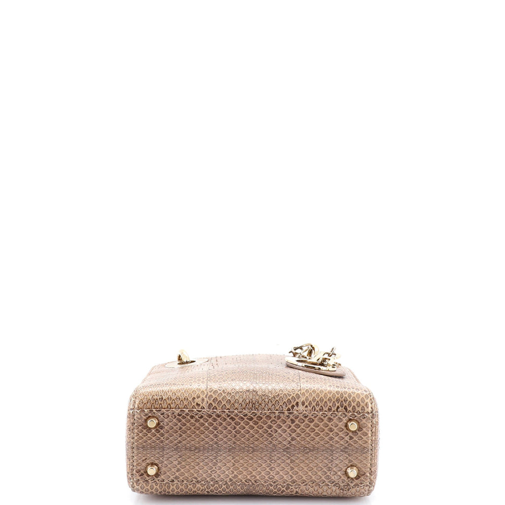 Lady Dior Chain Bag Python Mini