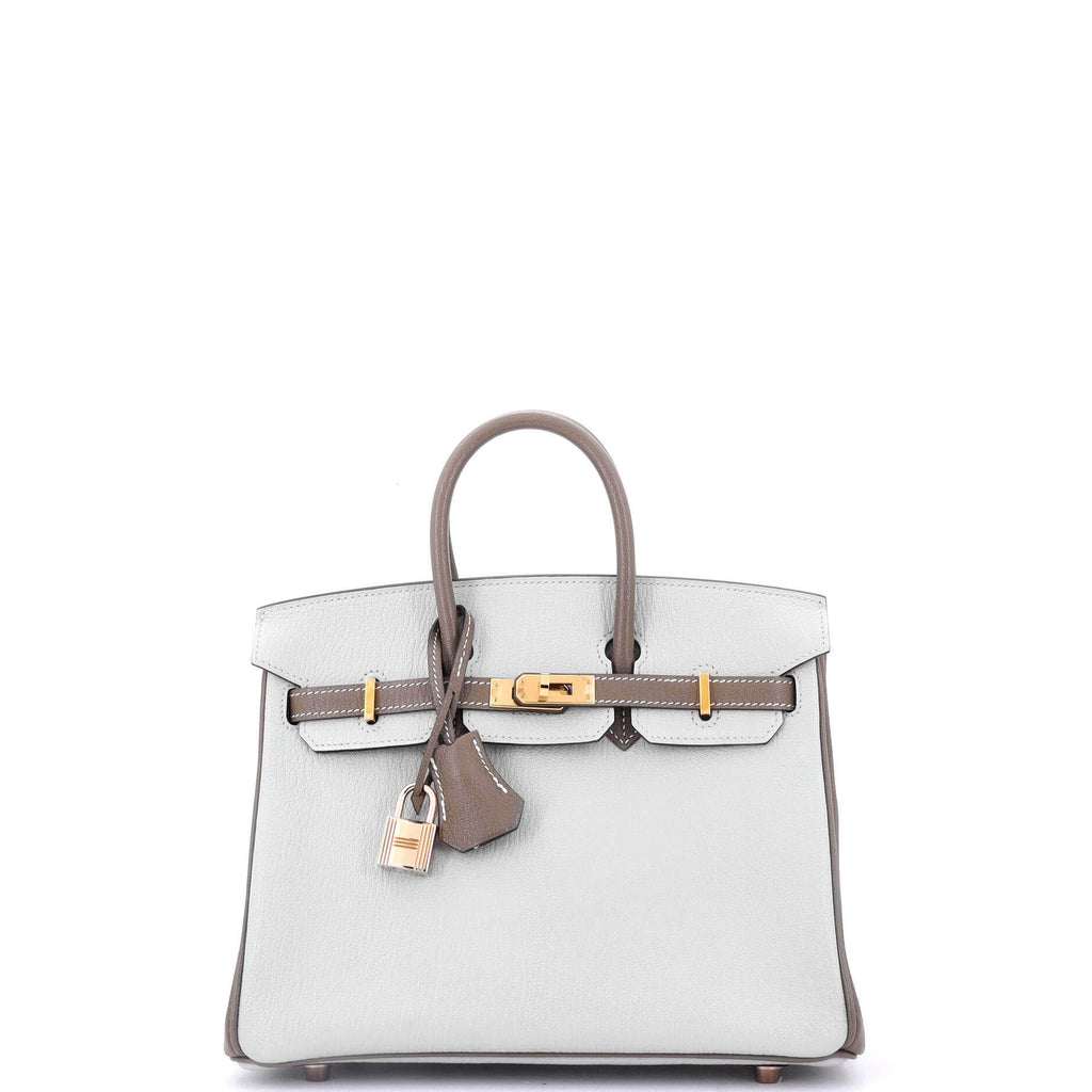 Birkin Handbag Bicolor Chevre Mysore with Rose Gold Hardware 25