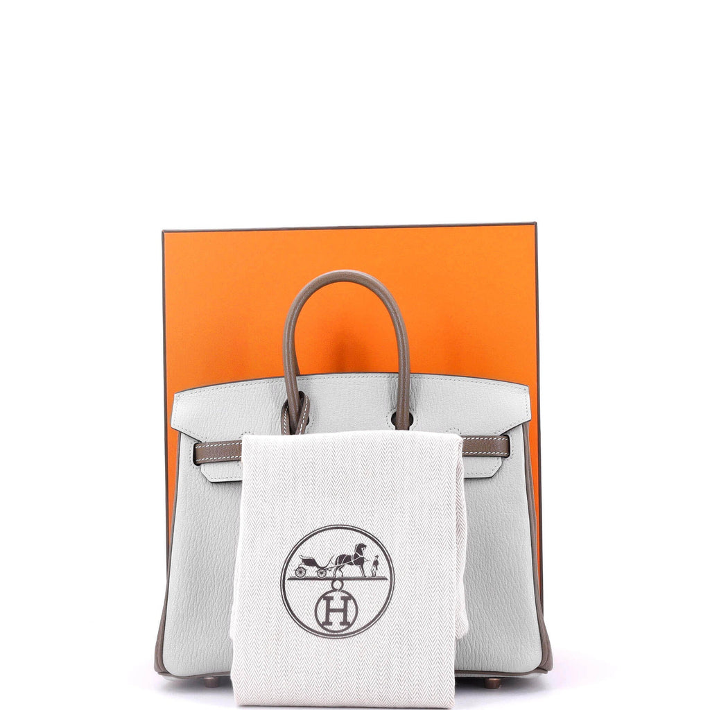 Birkin Handbag Bicolor Chevre Mysore with Rose Gold Hardware 25