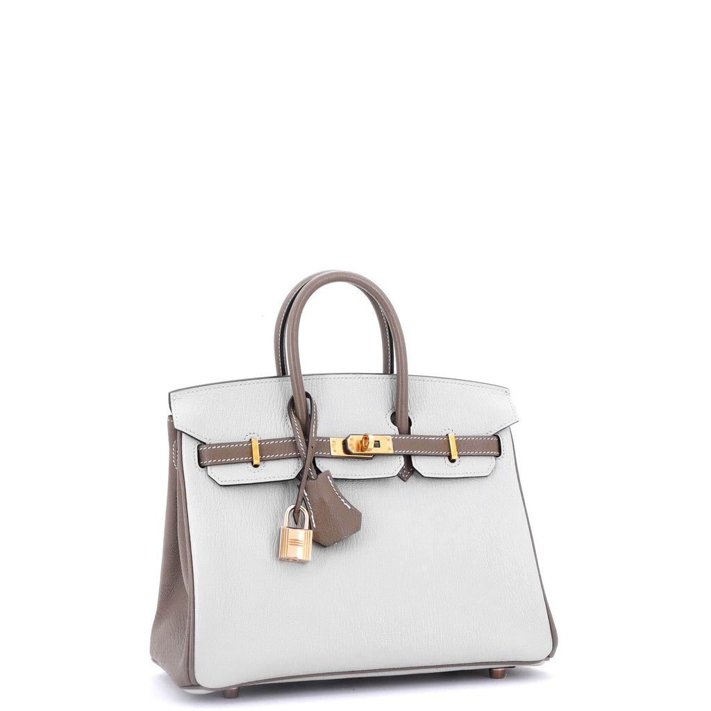 Birkin Handbag Bicolor Chevre Mysore with Rose Gold Hardware 25